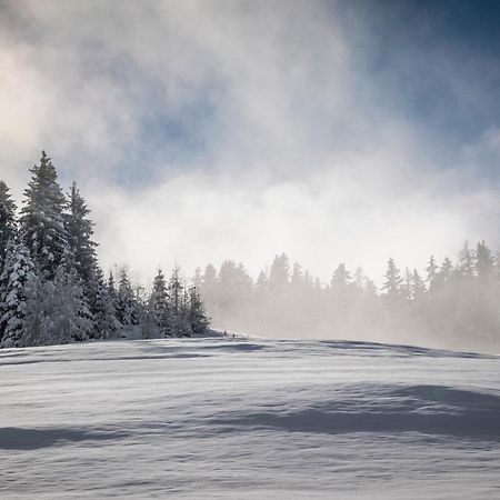 Brennergut Ferienwohnung Am Bauernhof Mühlbach am Hochkönig Exteriör bild